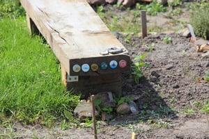 IMG_0343
