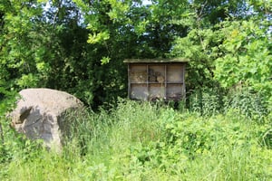 IMG_0358